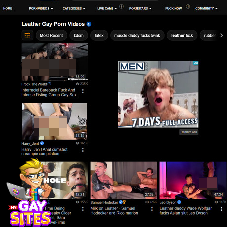 PornHub Leather