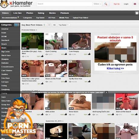 xHamster Bear xHamster Bear
