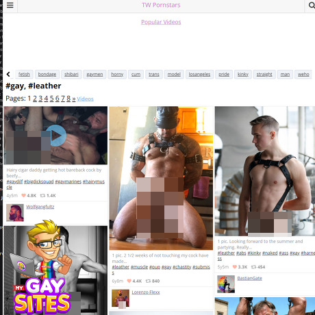 TWPornStars Leather