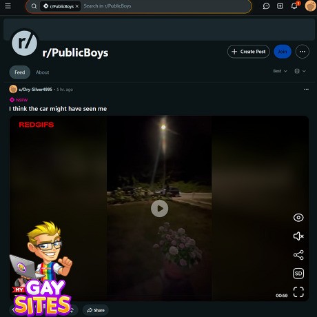 Reddit Public