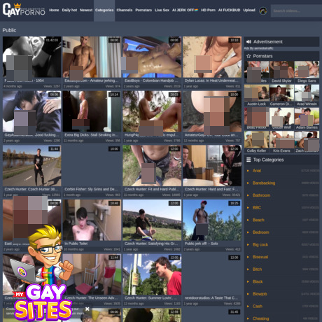 GayPorno.fm Public
