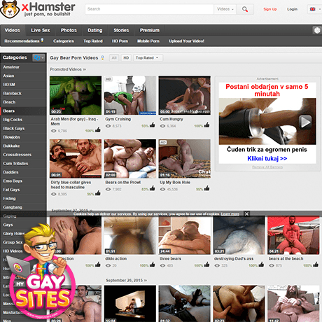 Hamster Porn Site